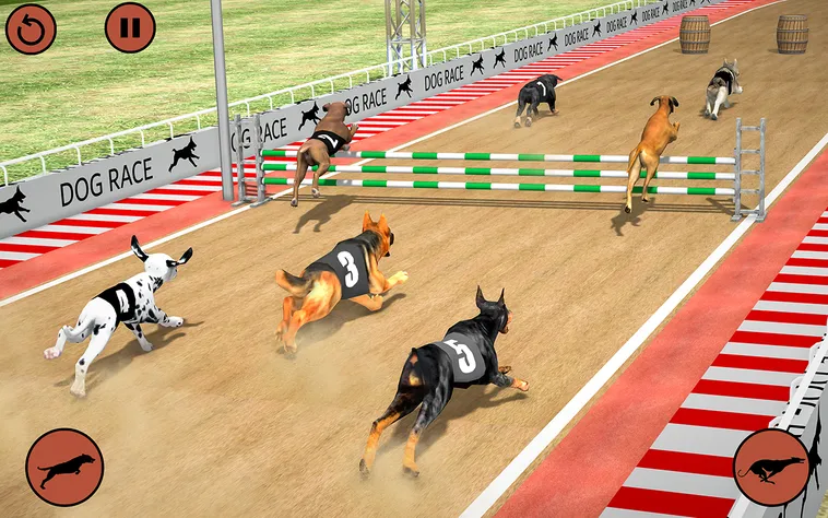 Cách Chơi Game Nhanh Đua Chó Tại EV88 Thắng Lớn Dễ Dàng